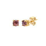 iXXXi Oorbellen Sorel Round