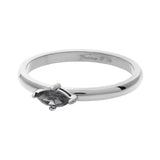 Fame Noire Oval