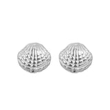 iXXXi Oorbellen Shell - iXXXi Jewelry