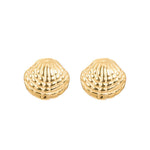 iXXXi Oorbellen Shell - iXXXi Jewelry