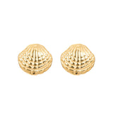 iXXXi Oorbellen Shell - iXXXi Jewelry