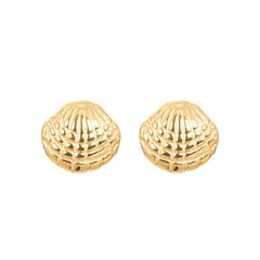 iXXXi Oorbellen Shell - iXXXi Jewelry