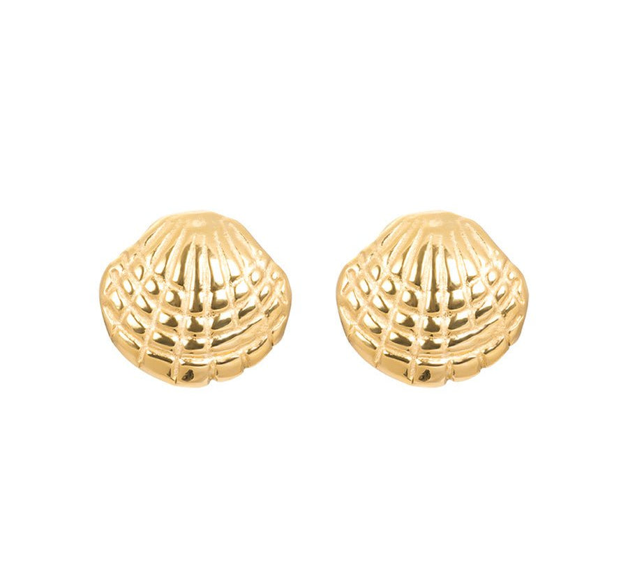 iXXXi Oorbellen Shell - iXXXi Jewelry