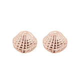 iXXXi Oorbellen Shell - iXXXi Jewelry