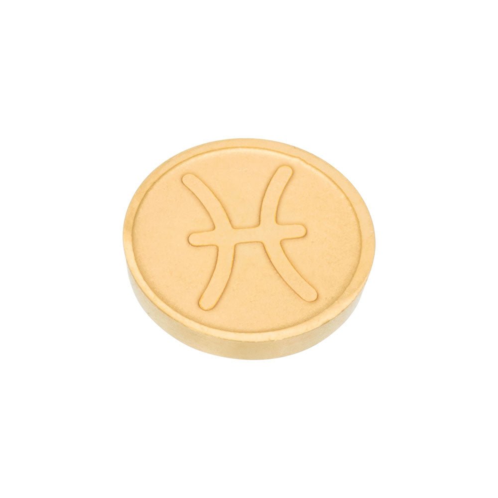 Top Part Sterrenbeeld - iXXXi Jewelry