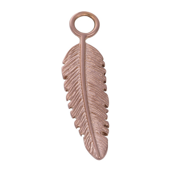 Product image 1 of Anhänger Feather