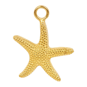 Image of Anhänger Sea Star