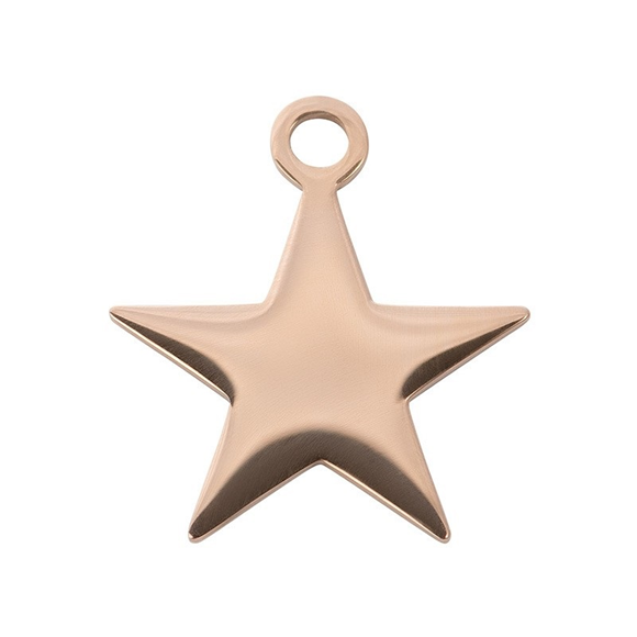 Product image 1 of Anhänger Star