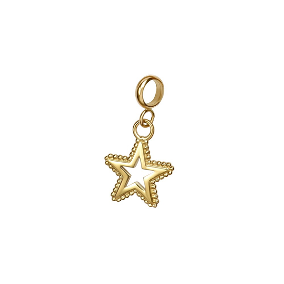 Product image 1 of Anhänger Star