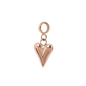 Bild von Anhänger Wild Heart
