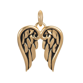 Bild von Anhänger Wings