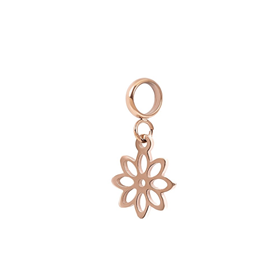 Image of Charm Little Daisy