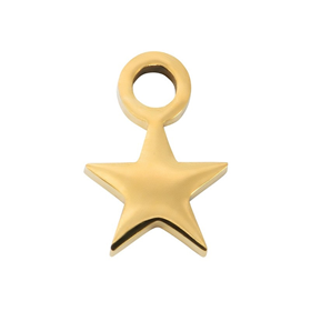 Image of Charm Little Star