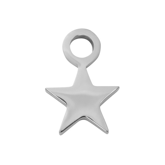 Product image 1 of Charm Little Star