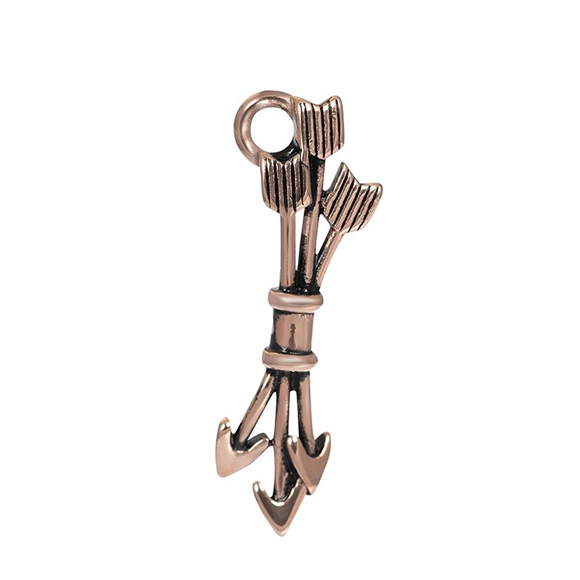 Product image 1 of Charm Multiple Arrows