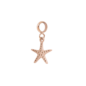 Image of Charm Ocean Star