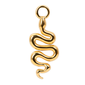 Image of Charm Snake