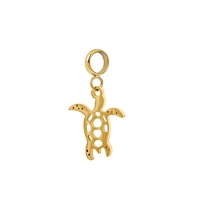 Image of Charm Turtle