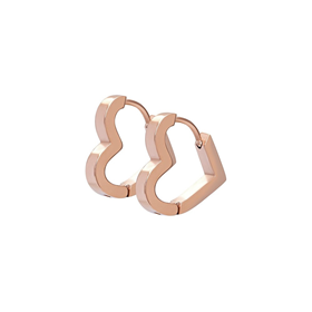 Image of Ear rings Heart