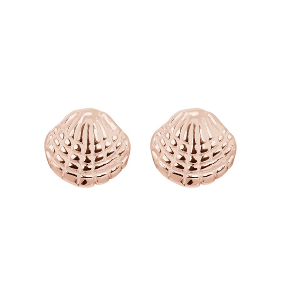 Product image 1 of Ear studs Shell
