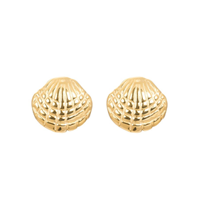 Image of Ear studs Shell