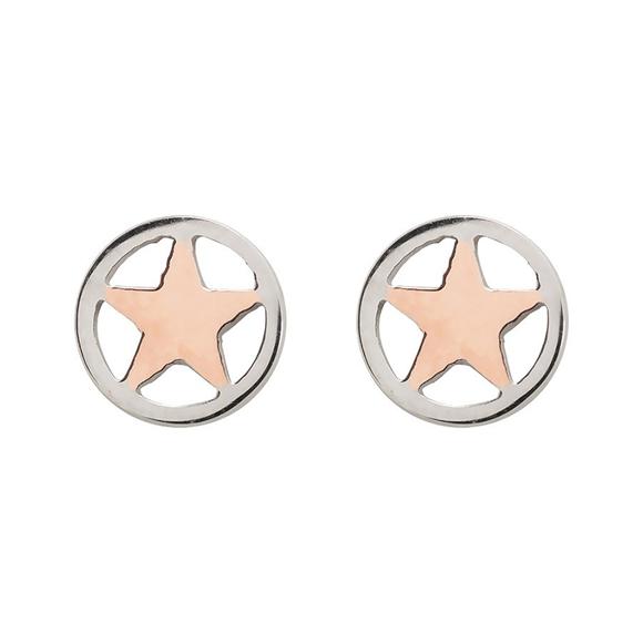 Product image 1 of Ear studs Star