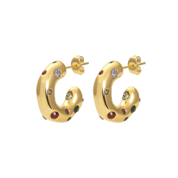 Product image 1 of Earrings Gleam