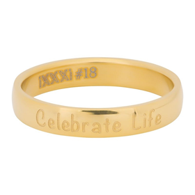 Image of Fillring Celebrate Life 4mm