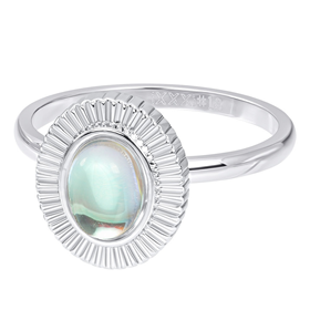 Image of Fillring Dahlia