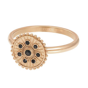 Image of Fillring Midnight Black Diamond