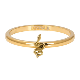 Image of Fillring Symbol Snake 2mm