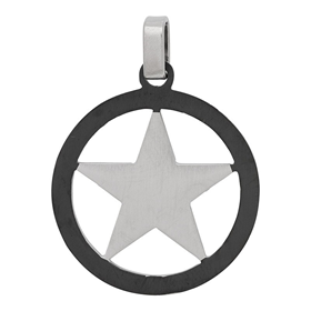 Image of Hanger Star Silver