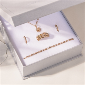 Image of iXXXi Jewelry Lucia Peach box - rose gold