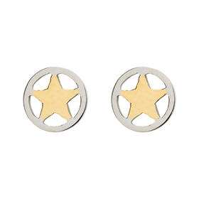 Bild von Ohrringe Star