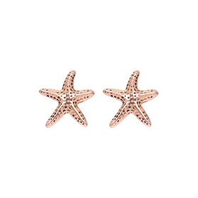 Afbeelding van Oorbellen Sea Star