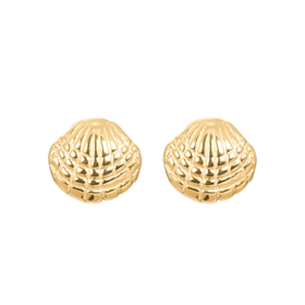 Afbeelding van Oorbellen Shell