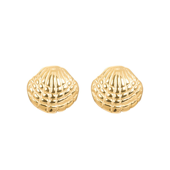 Product image 1 of Oorbellen Shell