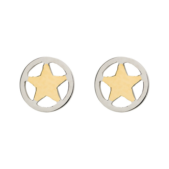 Product image 1 of Oorbellen Star
