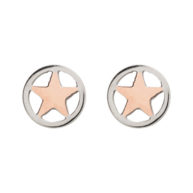 Afbeelding van Oorbellen Star