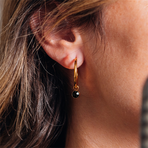 Product image 1 of Oorring Bedels Stone Black Diamond