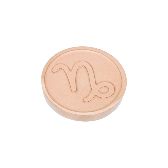 Product image 1 of Top part Capricorn