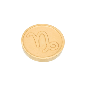 Afbeelding van Top part Capricorn