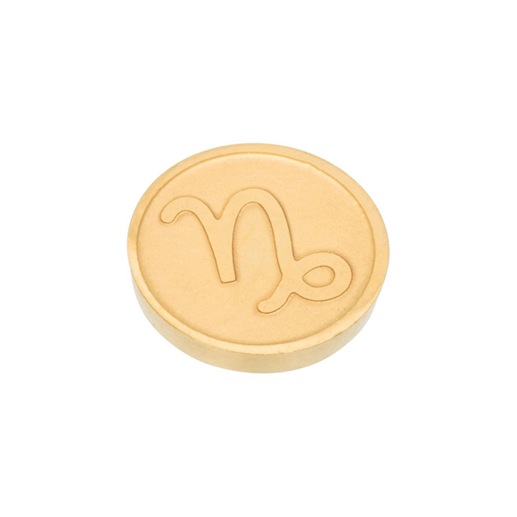 Product image 1 of Top part Capricorn