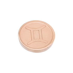 Image of Top Part Gemini