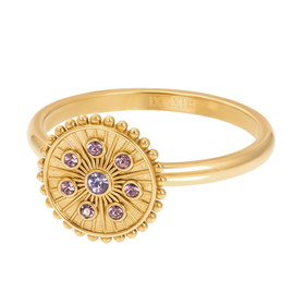 Afbeelding van Vulring Midnight Tanzanite